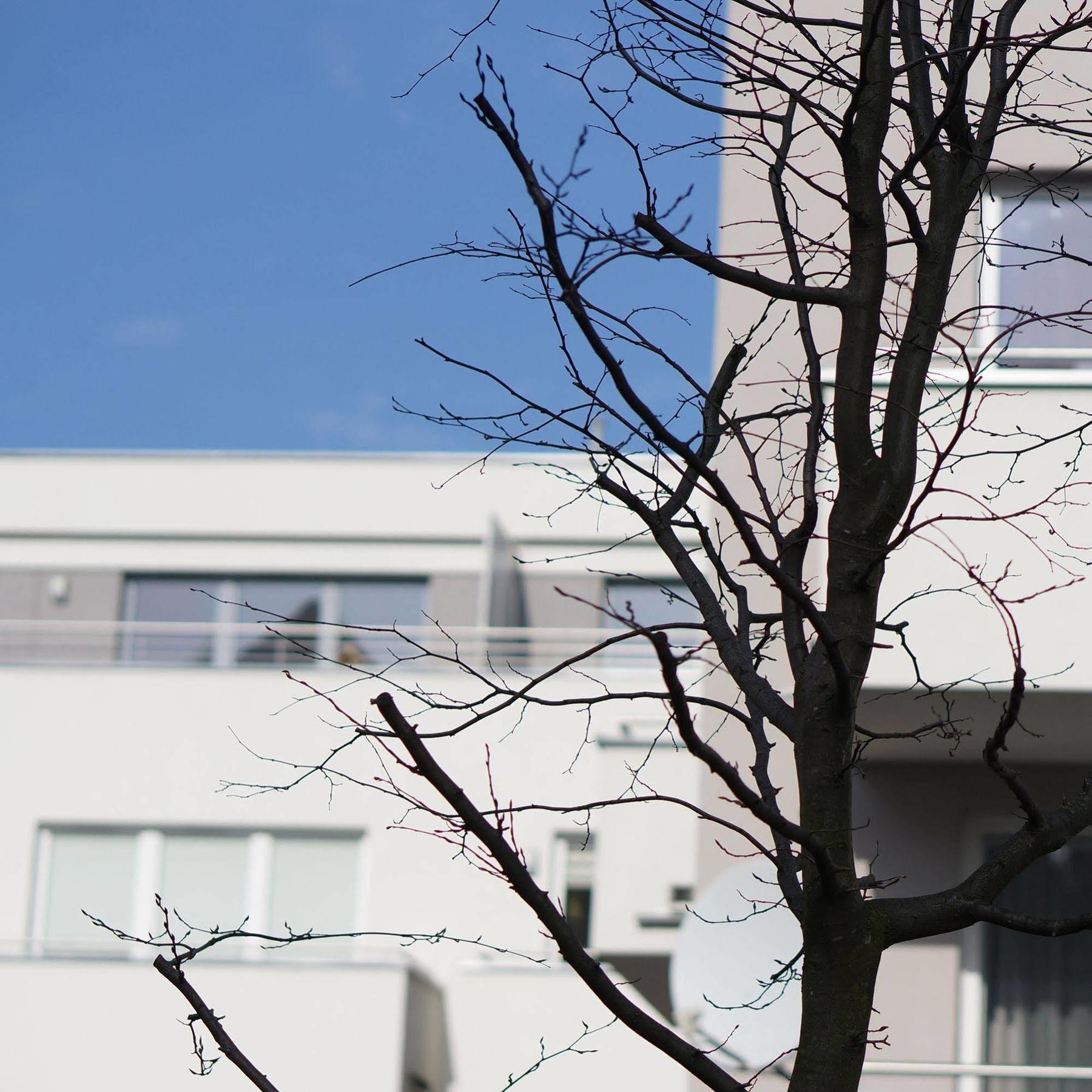 גדנסק La Petite Apartments מראה חיצוני תמונה